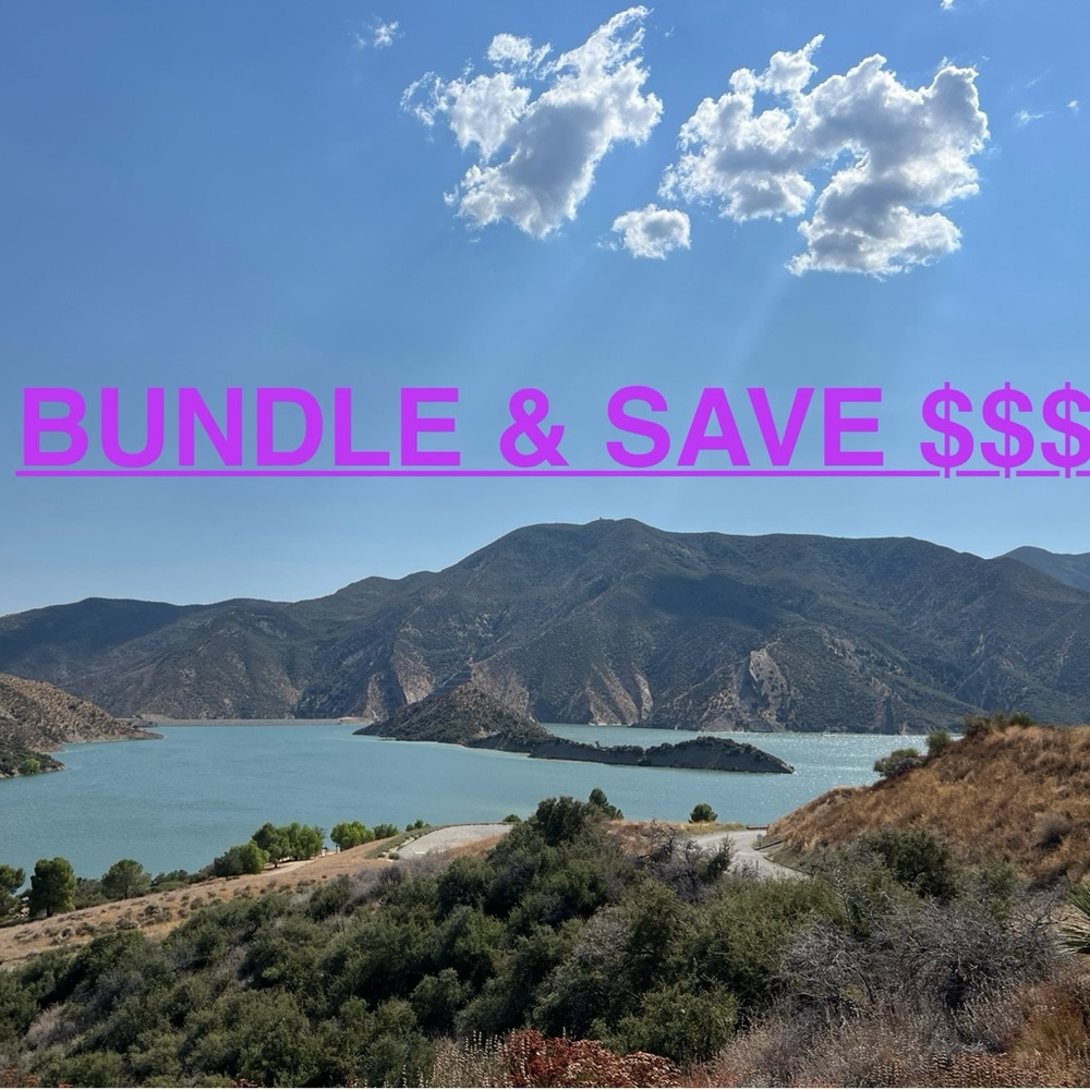 (4 for $10) DISCOUNTED BUNDLES